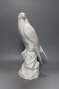 A Dresden white porcelain falcon, 43cm