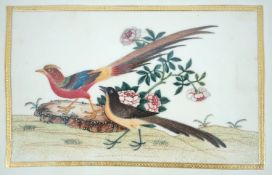 A set of 16 Chinese pith paintings of birds and flowers, mid 19th century, each finely painted