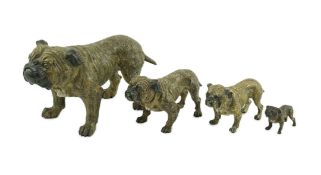 A graduated set of four Austrian cold painted bronze bulldogs 18.5 to 5cm.Largest dog measures 18.