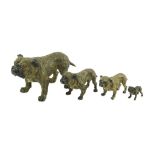 A graduated set of four Austrian cold painted bronze bulldogs 18.5 to 5cm.Largest dog measures 18.