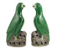 A pair of Chinese green and aubergine glazed models of parrots, 19th century, each figure standing