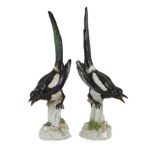 A pair of large Meissen figures of magpies, late 19th century, each with blue crossed swords mark,