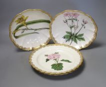 Four Derby botanical plates, to include pattern 115, Derby collection no.150 and 151, c.1795