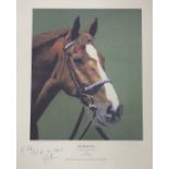 Framed photograph, Aldaniti, autographed by Bob Champion