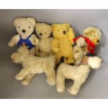 A group of various teddies