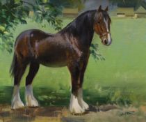 Frank Wootton (1914-1998), oil on canvas, 'Study of a Shire horse', signed and inscribed verso, 24 x
