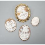 Two gilt metal mounted carved oval cameo shell cameos, largest 63mm and two similar unmounted