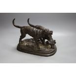 A bronze model of two hounds,28cms wide
