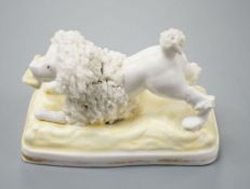 A Samuel Alcock model of a poodle grasping a bone, c.1835–50, 11.1 cm long,Cf. Dennis G.Rice Dogs in