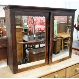 A Victorian mirrored two door wall cabinet, width 102cm, depth 27cm, height 77cm