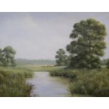 Edward Hersey (1948-), oil on canvas, River landscape with cattle, signed, 40 x 50cm