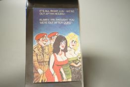 An album of 1970s cartoon saucy Seaside postcards