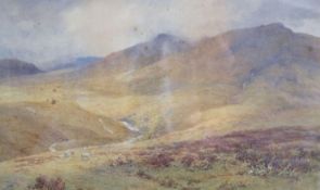 Charles Davidson R.W.S., watercolour, Ponies on the Moors, signed, 28 x 45cm
