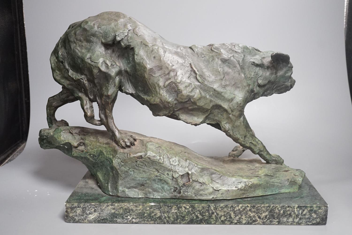 B.C. King, a green patinated bronze of a wolf,43 cms wide. - Image 4 of 4