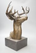 After B.C Zheng, bronzed metal model of a stag's head, 47cm