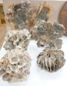 Five abstract stoneware coral forms by Anita Rich, tallest 34 cm