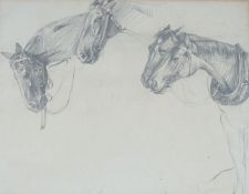 Robert Lillie (1867-1949), pencil drawing, Sketh of horsese, 23 x 30cm