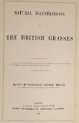 ° ° Hanham, Frederick (editor) - Natural Illustrations of The British Grasses, 1st edition, folio,