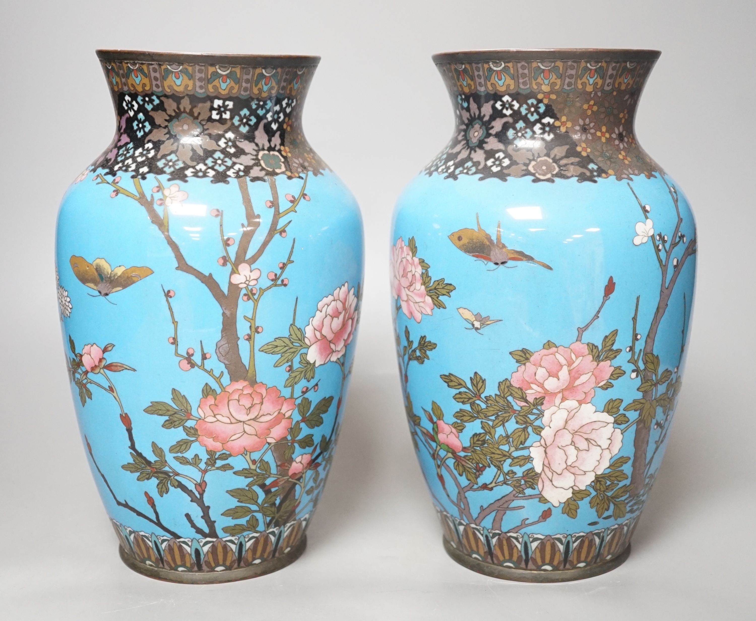 A pair of Japanese blue cloisonné enamel floral vases - 25cm tall