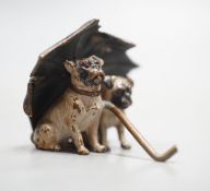 A small Austrian cold painted bronze group of two pug dogs under a rugged umbrella, 3cm