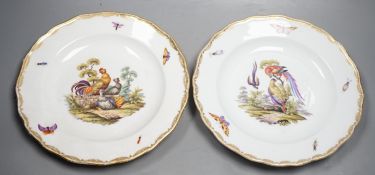 A pair of 19th century Meissen outside decorated bird plates, 24.5cm