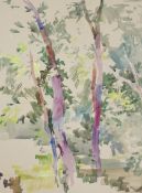 Michael Cadman (1920-2012), folio of assorted watercolours, Nature and topographical studies, some