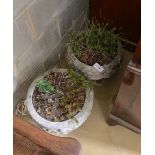 A pair of circular reconstituted stone garden planters, diameter 38cm, height 33cm