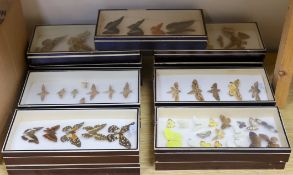 Entomology - Butterfly and moth specimens in 15 display boxes, largest box 37 cm wide**CONDITION