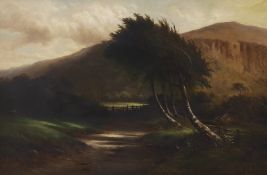 B.T. Wadham, oil on canvas, 'First Light', label verso, 50 x 75cm**CONDITION REPORT**PLEASE NOTE:-