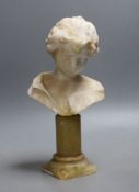 A late 19th / early 20th century French alabaster bust, 26cm**CONDITION REPORT**PLEASE NOTE:-