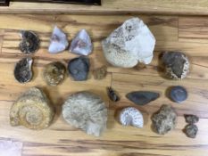 A collection of ammonites and mollusc fossil specimens and they split quartz geode, the largest 21