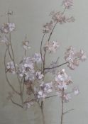 Eliza Mary Burgess (b.1873), watercolour, Study of prunus blossom, signed and dated 1926, 49 x 35cm