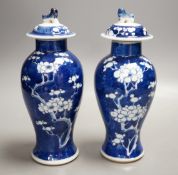 A pair of early 20th century Chinese blue and white ‘prunus’ vases and covers, 21cm