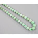A single strand graduated circular jade bead necklace, with 9ct clasp, 66cm.
