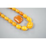 A single strand graduated oval amber bead necklace, 70cm, gross weight 64 grams, together with an