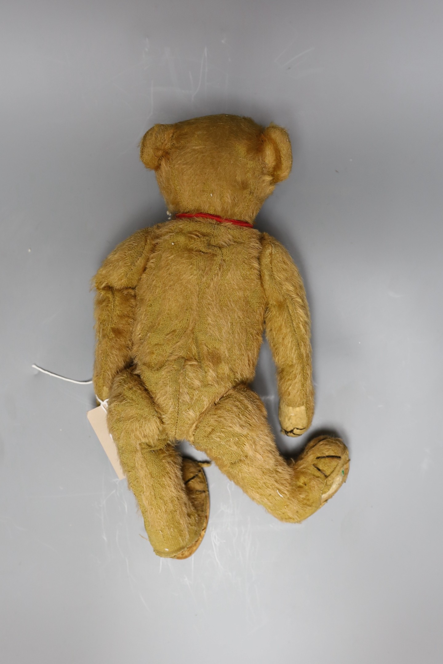 A German teddy bear, pre WWI - Bild 3 aus 3