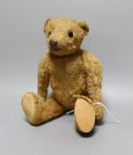 A German teddy bear, pre WWI