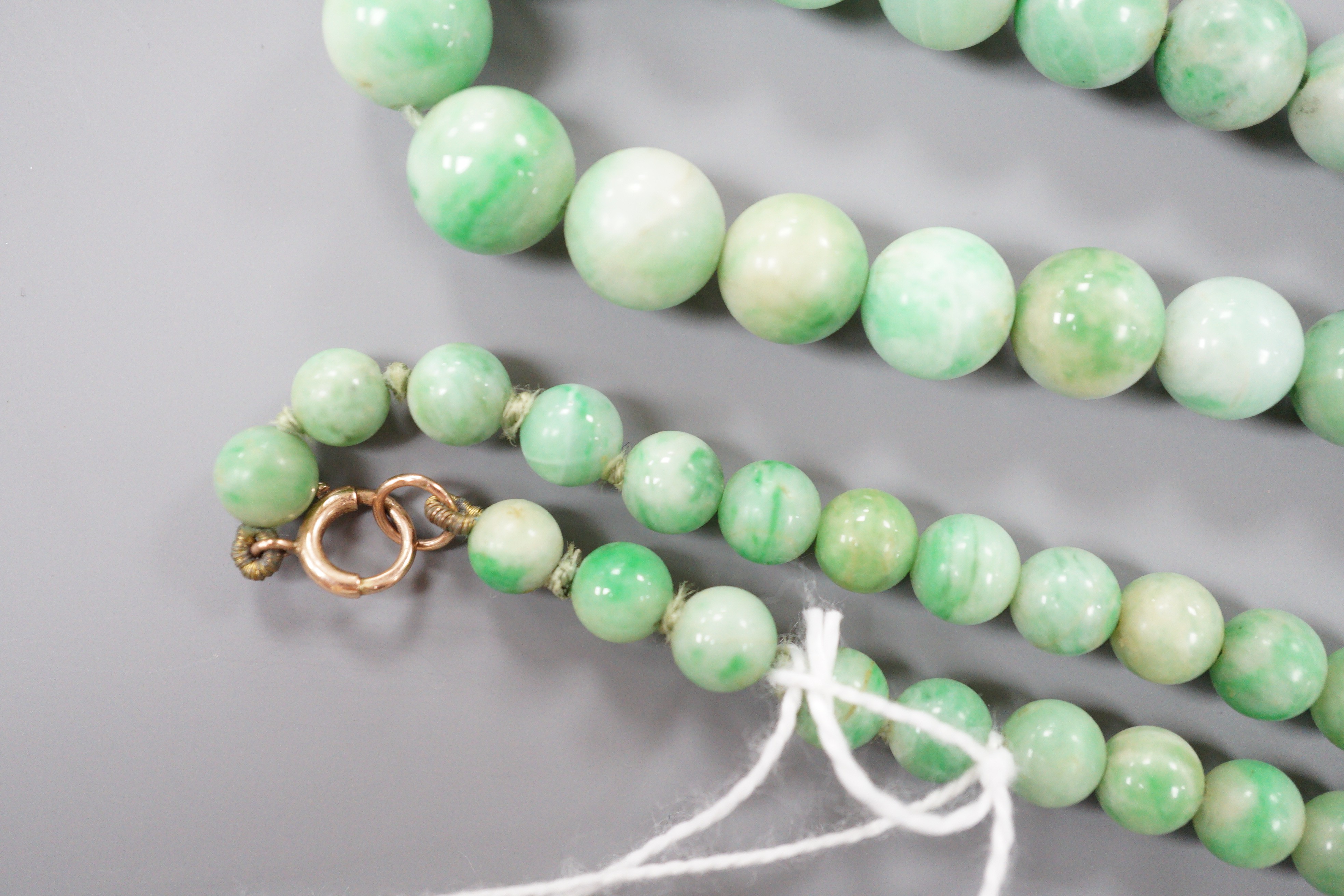 A single strand graduated circular jade bead necklace, with 9ct clasp, 66cm. - Image 3 of 3