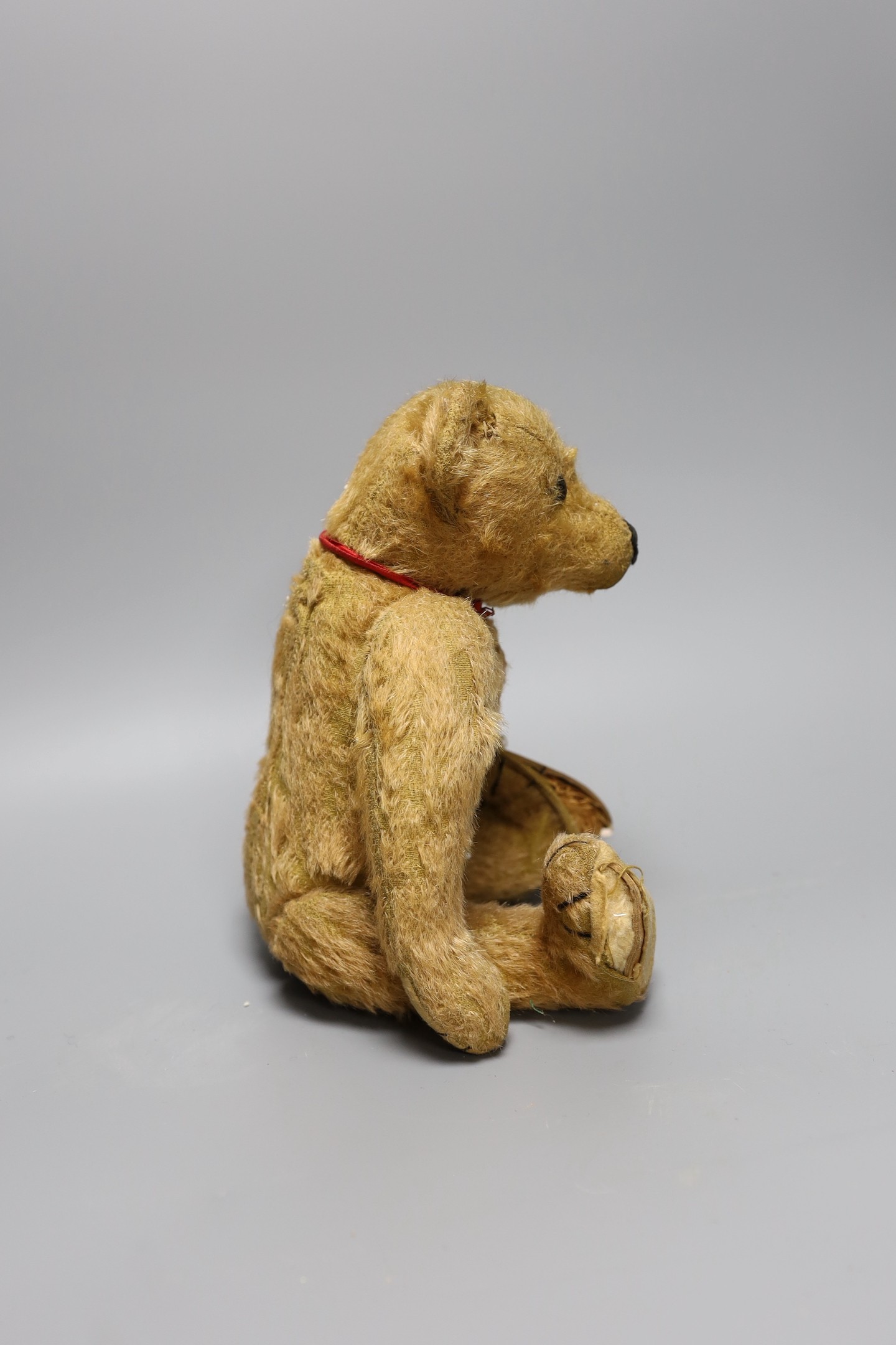 A German teddy bear, pre WWI - Bild 2 aus 3
