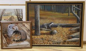 Alan G. Dobbs, oil on board, Badger in woodland, signed and dated 1989, 60 x 75cm and another