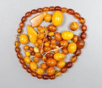 A quantity of loose amber beads, 53 grams and a bead necklace, 18.8 grams