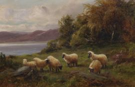 John Macpherson (Exh. 1865-1884), oil on canvas, Sheep beside a loch, signed, 29 x 44cm