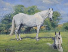 Paul Lucas ASEA, oil on canvas, 'Twilight' portrait of a white stallion, signed and dated 20 16,