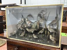 A late Victorian cased taxidermic display of assorted British water birds, case length 94cm, depth