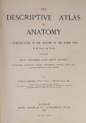 ° ° Smith, Noble - The Descriptive Atlas of Anatomy, 4to, cloth, with 92 plates, Smith, Elder & Co.,