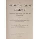 ° ° Smith, Noble - The Descriptive Atlas of Anatomy, 4to, cloth, with 92 plates, Smith, Elder & Co.,