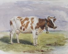 Charles Landseer (1799-1879), watercolour, Study of a cow, signed in pencil, 19 x 25cm