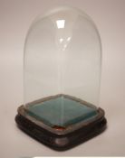 A 19th century glass dome and stand, 22cm