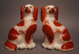 A pair of Staffordshire pottery King Charles spaniel’s, 24cm