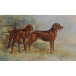 N.L. Pine-Coffin, watercolour, Three Irish Setters, signed and dated 1912, 38 x 60cm